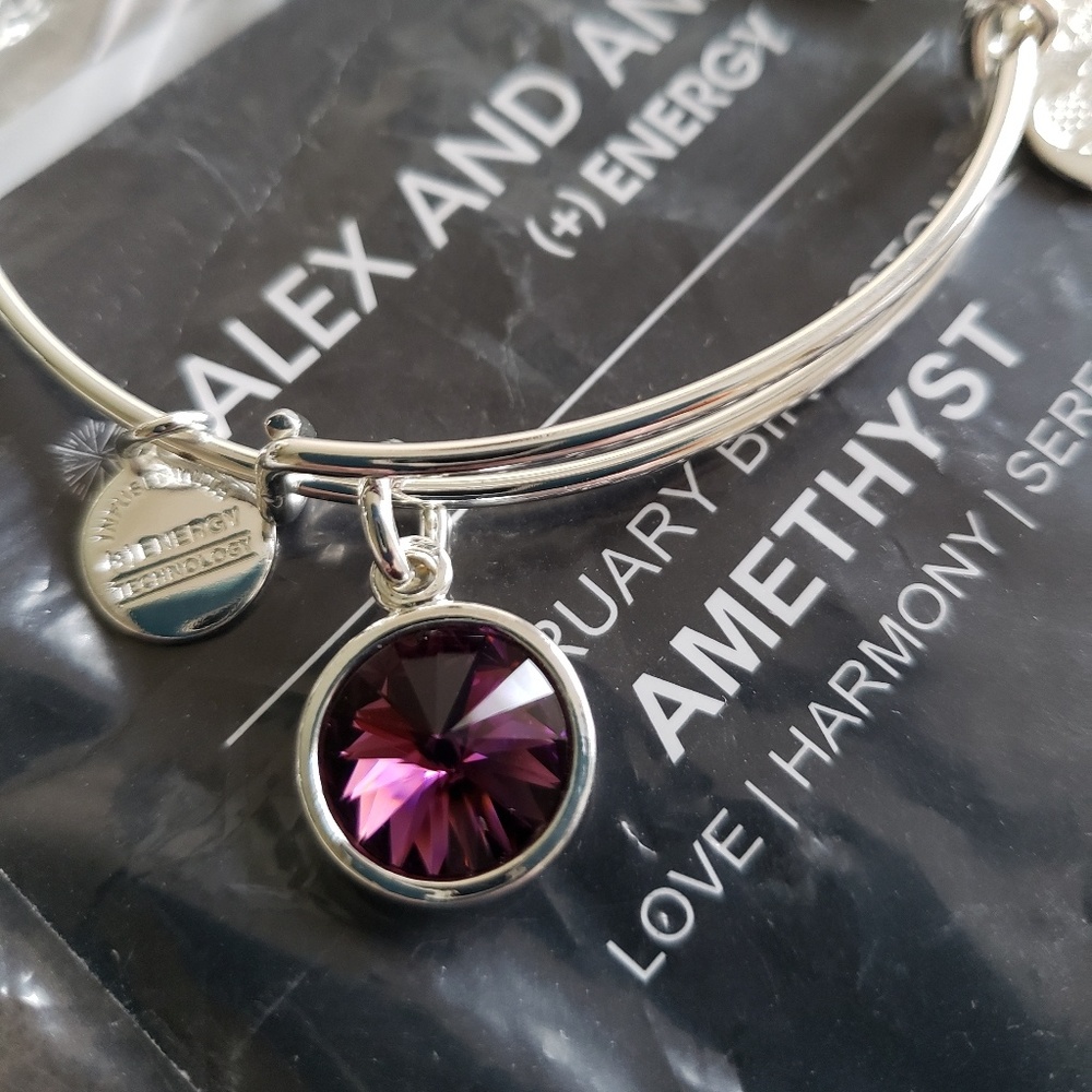 Alex and Ani Amethyst and Silver Bangle - NWT